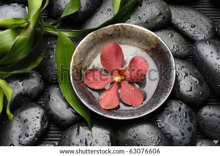 stock image of the spa concept