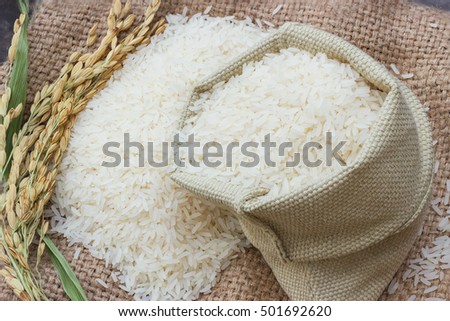 Corn Seed Maize Sack Bag Corn Stock Photo 503854813 - Shutterstock