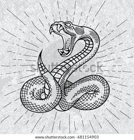 photo tattoo snake download Hand Snake Outline Drawn Viper Illustration Vector Stock