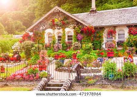 house flowers flower village park dubai stock photo 257223811 house flowers flower village park dubai stock photo 257223811