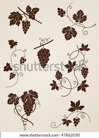 vector decorative grape vine elements for design