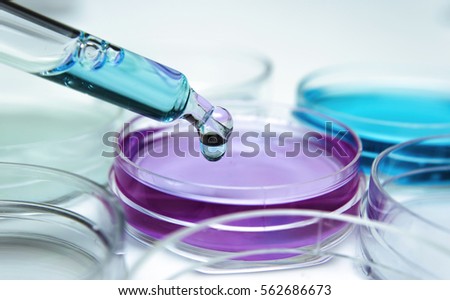 Petri Dish Stock Images Royalty Free Images Vectors Petri Dish Stock Images Royalty Free Images Vectors