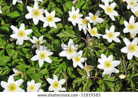 Swedish spring Stock Photos, Images, & Pictures | Shutterstock