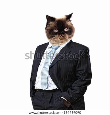 Cat suit Stock Photos, Cat suit Stock Photography, Cat suit Stock ...