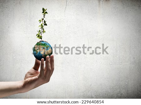 Close up of human hand holding sprout. Elements of this image are furnished by NASA