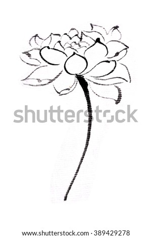 Vector Illustration Narcissus Black White Colors Stock Vector 79502233 ...