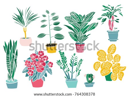 Hand Drawn Tropical House Plants Scandinavian Stock Vector 572396344 ...