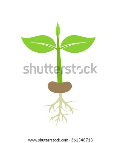 Stock Images, Royalty-Free Images & Vectors | Shutterstock