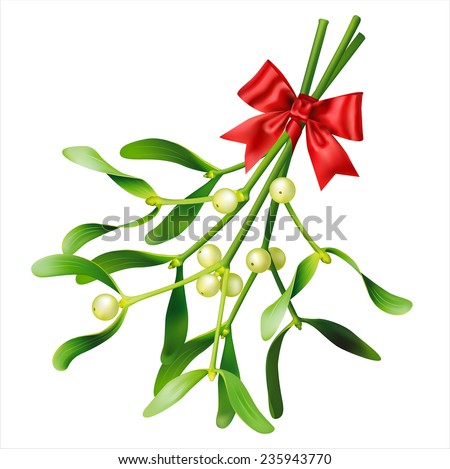 Mistletoe Hand Drawn Vector Illustration Mistletoe Stock Vector