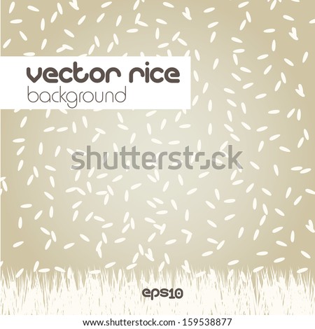 Rice background, vector