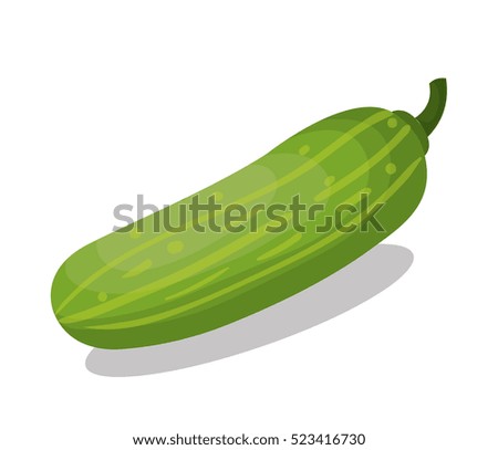 fresh cucumber vegetable isolated icon