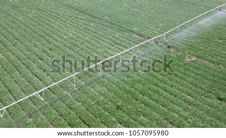 Irrigation system at work - Aerial Image. Irrigation is the application of controlled amounts of water at needed intervals