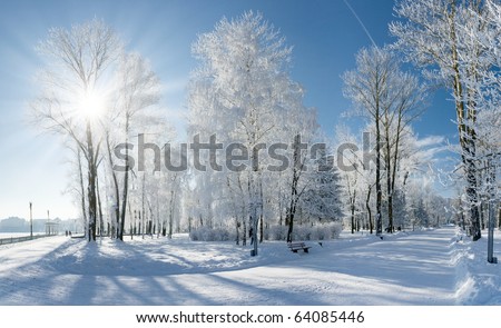 Beautiful winter landscape with snow covered trees