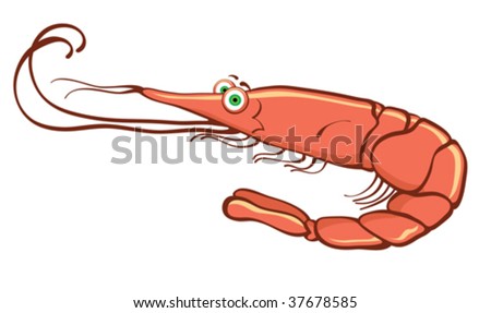 stock-vector-shrimp-cartoon-character-37