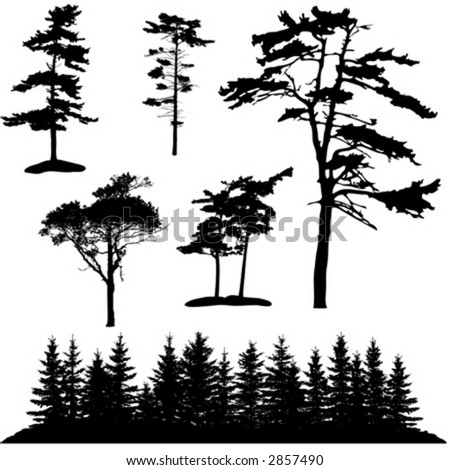 Woods Silhouette SVG