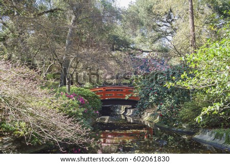 beautiful cherry blossom at japanese garden of descanso garden los angeles california - Japanese Garden Cherry Blossom Bridge beautiful cherry blossom at japanese garden of descanso garden los angeles california - Japanese Garden Cherry Blossom Bridge
