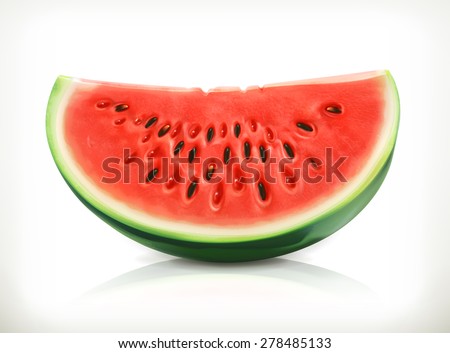 Slice of watermelon, summer fruit, vector icon