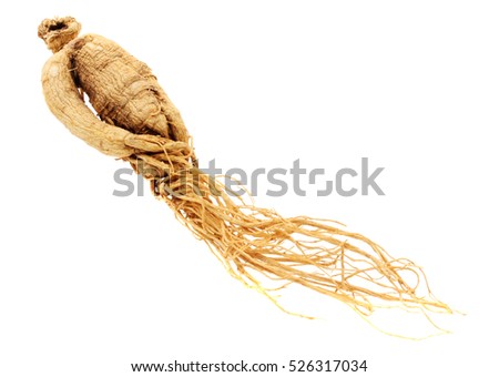 ginseng isolated on white background