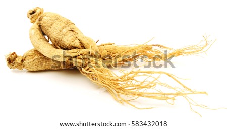 ginseng isolated on white background