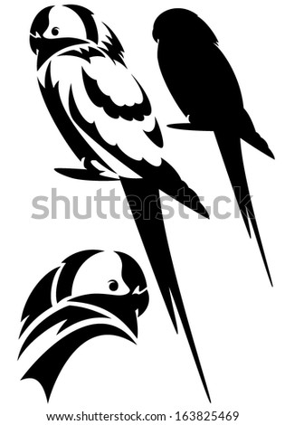 parrot birds design set black and white vector outline and silhouette