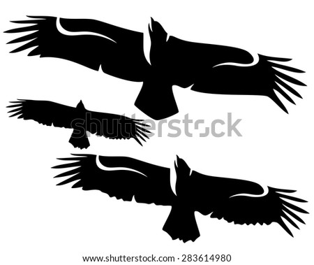 Wingspan Stock Photos, Royalty-Free Images & Vectors - Shutterstock