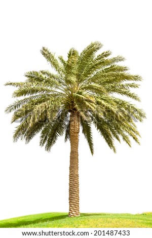 Dating trees