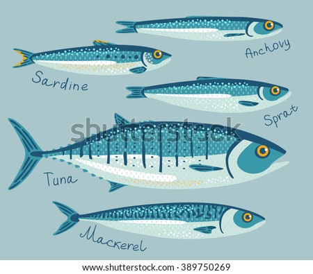 mackerel tuna sardine fish vector anchovy sprat collection conservation illustration flat style shutterstock preservation fishes seafood vectors packaging concept search