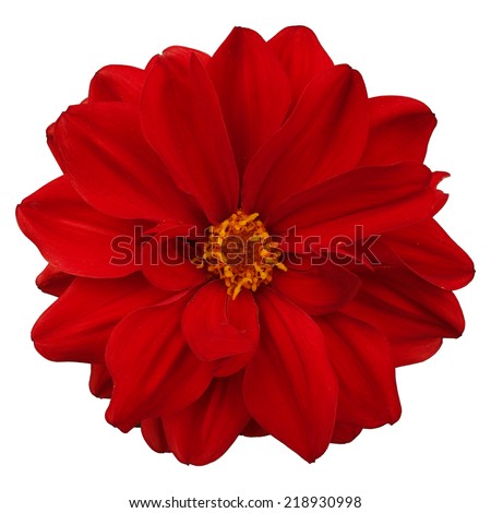 Ksenia Palimski's Portfolio on Shutterstock