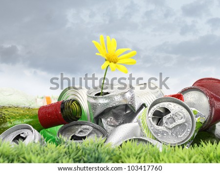 Garbage with growing daisy under storm clouds