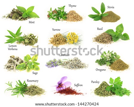 Herb Stock Images, Royalty-Free Images & Vectors | Shutterstock