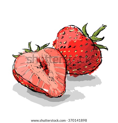 Hand draw of strawberry. Vector illustration.
