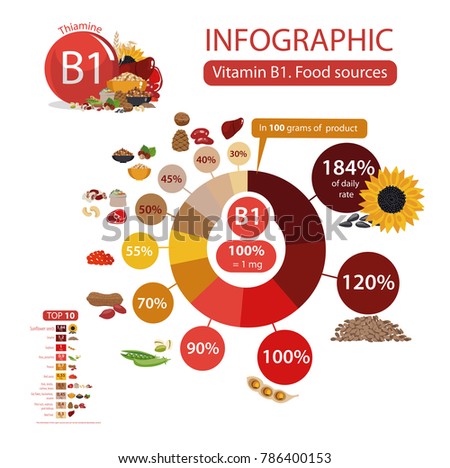 Vitamin B1 Thiamine Food Sources Infographics Stock Vector 786400153 ...