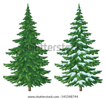 Fir trees, summer and winter with snow, Christmas decoration, isolated ...