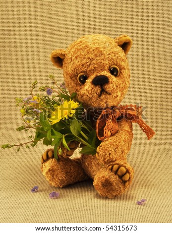 Teddy bear portraits coupon code