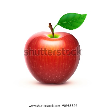 Vector illustration of detailed big shiny red apple