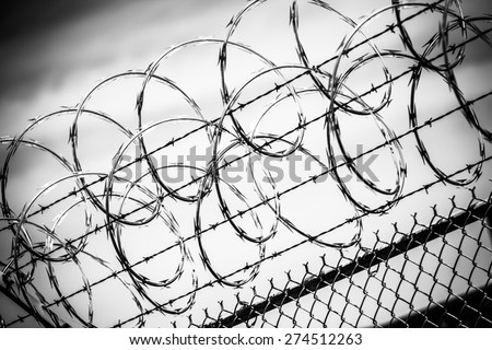 Prison Fence Graphic razor-wire stock images, royalty-free images & vectors | shutterstock Prison Fence Graphic razor-wire stock images, royalty-free images & vectors | shutterstock