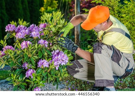 Landscaping Stock Images, Royalty-Free Images & Vectors ...