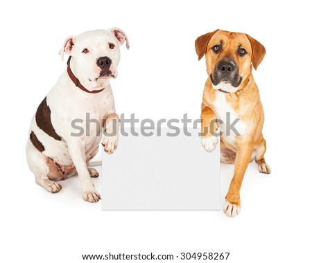 Animal Holding Sign Stock Images, Royalty-Free Images & Vectors ...