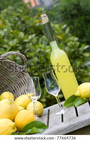 Summer Garden Party Limoncello Stock Photo 77664736 - Shutterstock