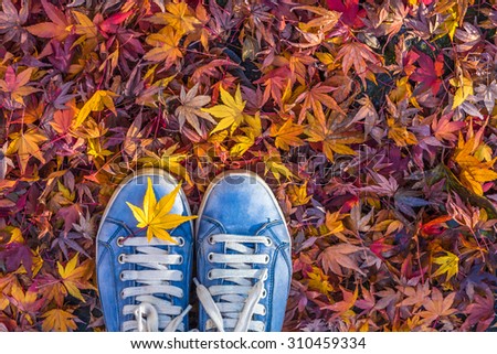 Autumn season in hipster style shoes