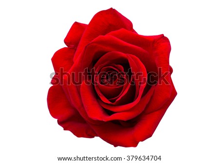 Hoa hồng - một loài hoa đẹp và dễ thương. Hãy xem hình ảnh về những bông hoa hồng được trưng bày đẹp mắt và thấy sự tinh tế trong từng chi tiết của chúng. Ảnh sẽ thổi bay mọi áp lực và mang lại niềm vui cho bạn.