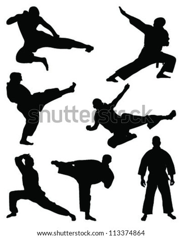 Karate Stock Photos, Images, & Pictures | Shutterstock