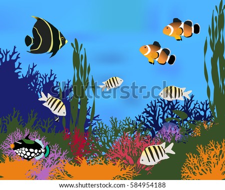 What are different species of colorful fish?
