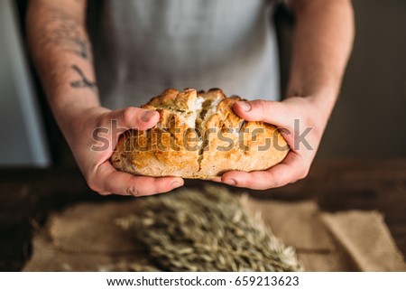 Baker hands breaks in half fresh baked bread loaf
