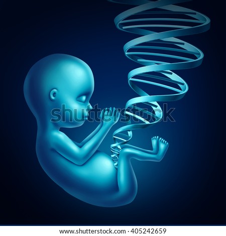 Conceito médico do DNA do feto como um feto humano dentro de uma mulher grávida com uma dupla hélice em forma de cordão umbilical como terapia genética pré-natal médica e símbolo de clonagem como uma ilustração 3D.