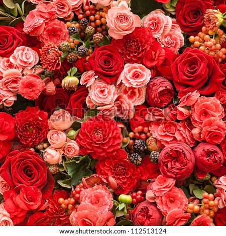 Abstract background of flowers. Close-up. - stock photo