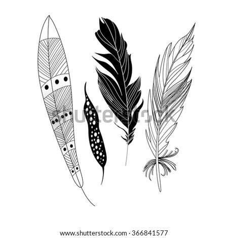 Feathers Close Up Stock Vectors, Images & Vector Art | Shutterstock