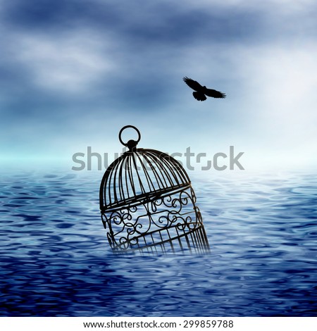 Image result for bird flying from cage