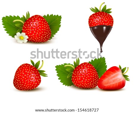 Set of ripe sweet strawberry and flower with leaves and chocolate. Vector.