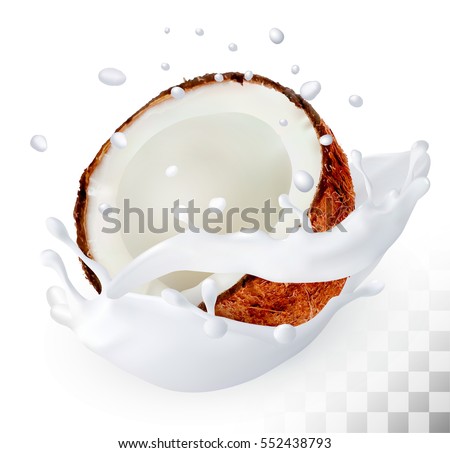 Coconut in a milk splash on a transparent background. Vector.